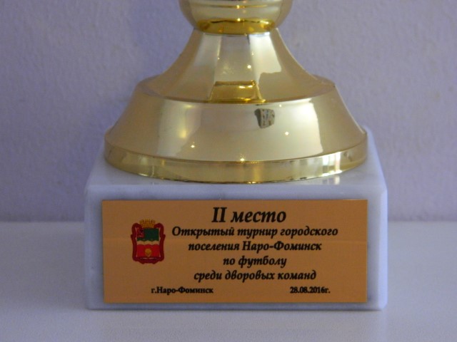 Кубок муниципального образования в Наро-Фоминске